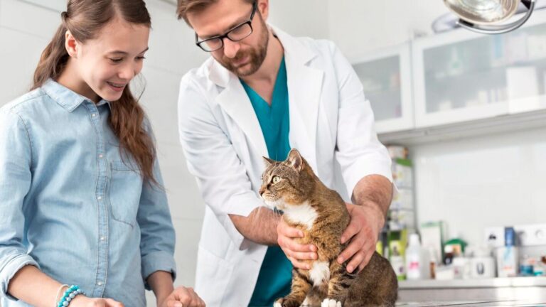 Veterinario con un paciente felino junto a su dueña